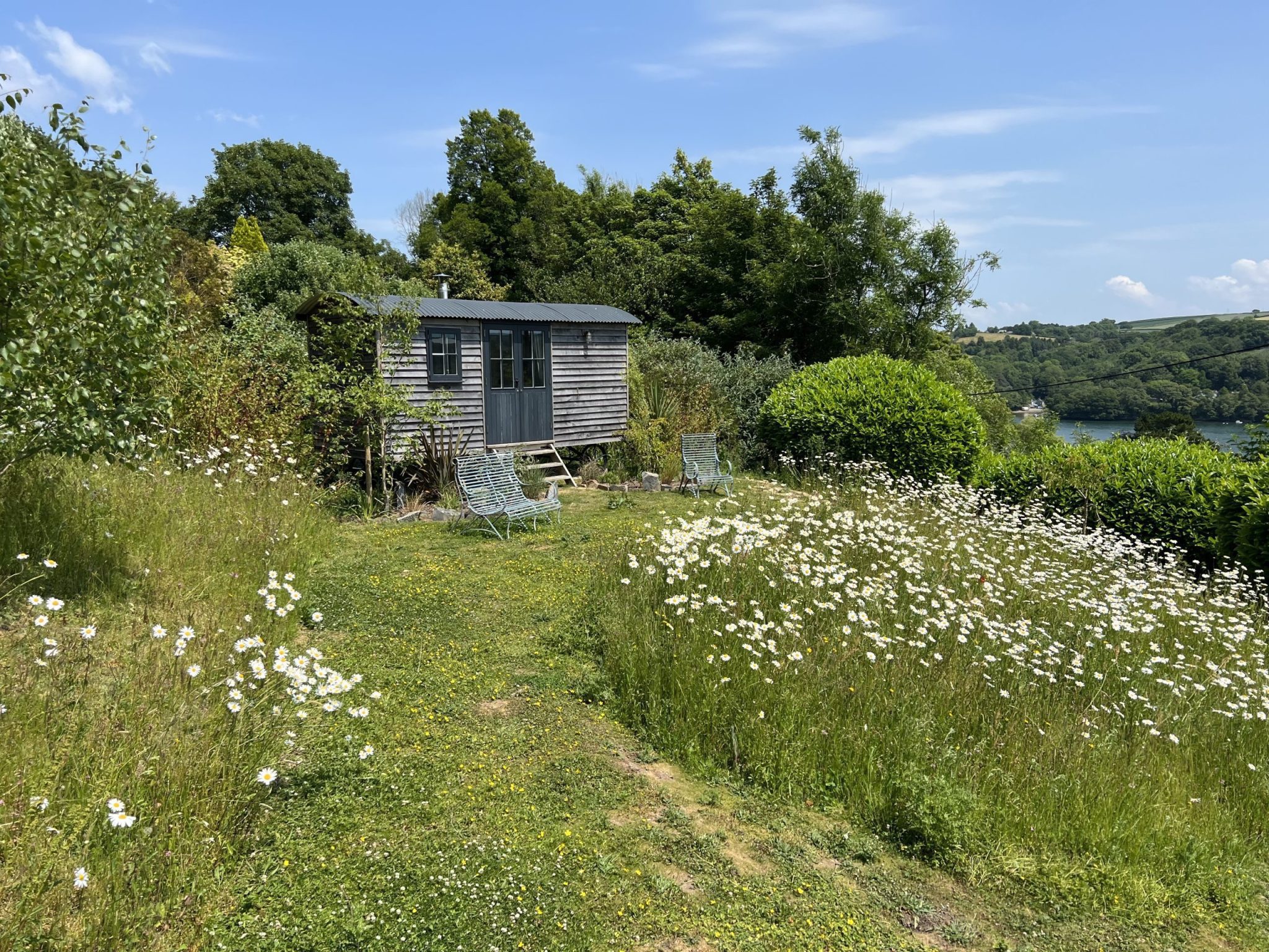 This garden is a soft  and ecologically freindly approach to landscape design. 