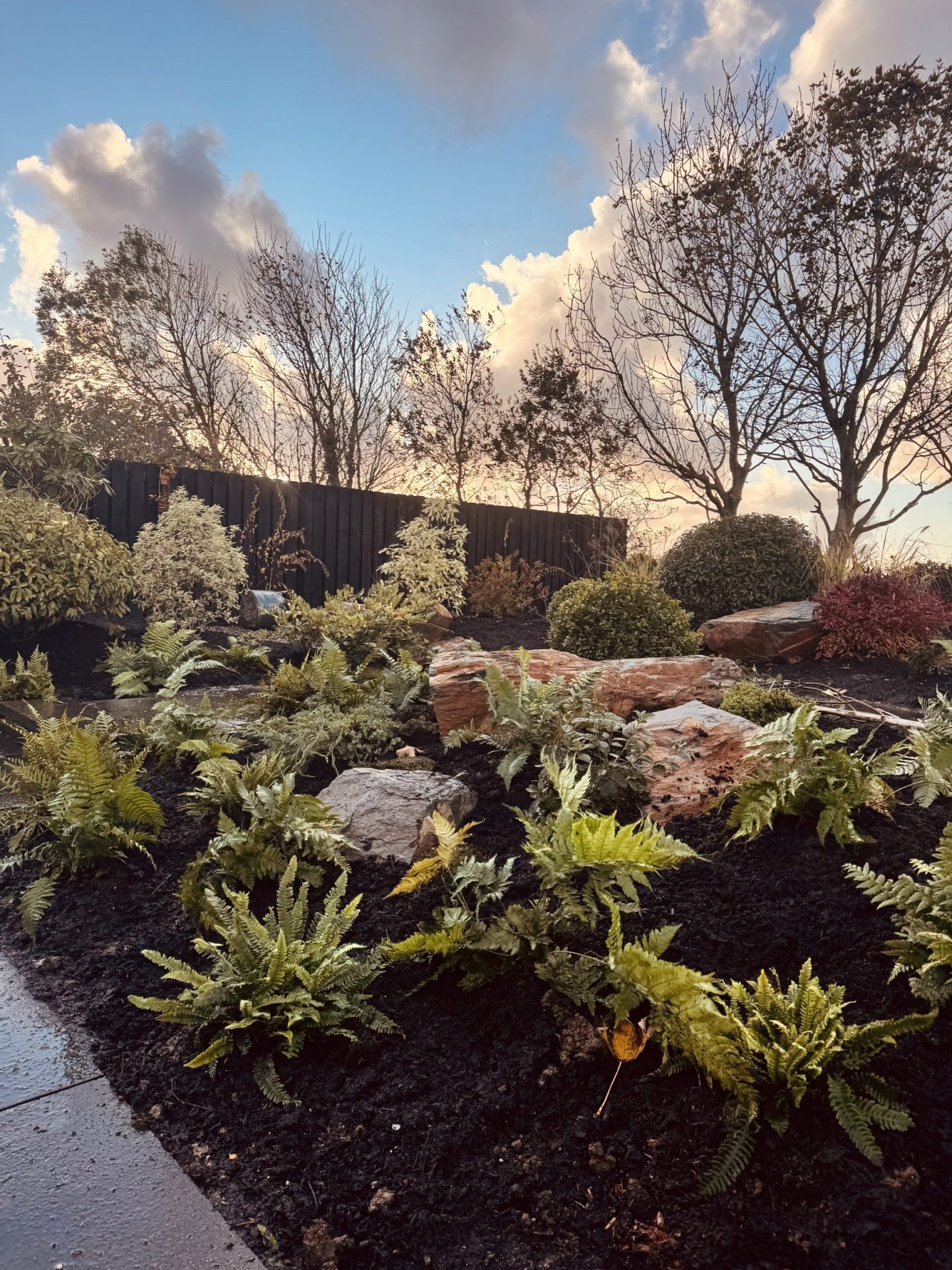 From Shed to Sanctuary – A Contemporary Tea House Garden